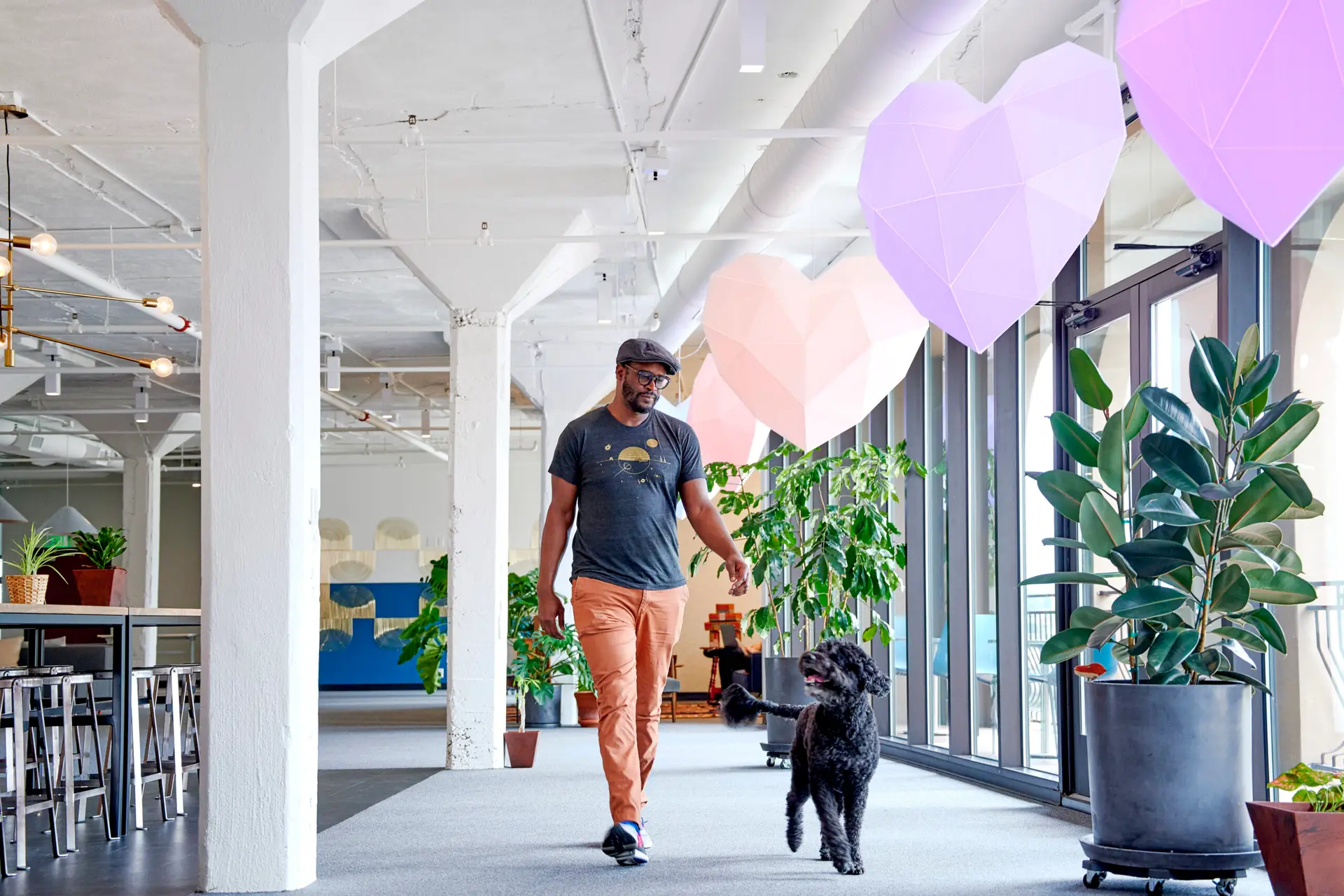 Man with his dog walking though Think Shout Offices.