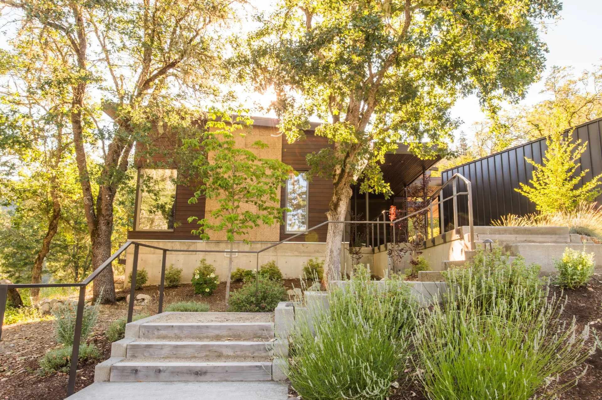 Cowhorn residence exterior view with an entry stair in the foreground of the frame along with a lush landscape and a couple trees that frame the home.