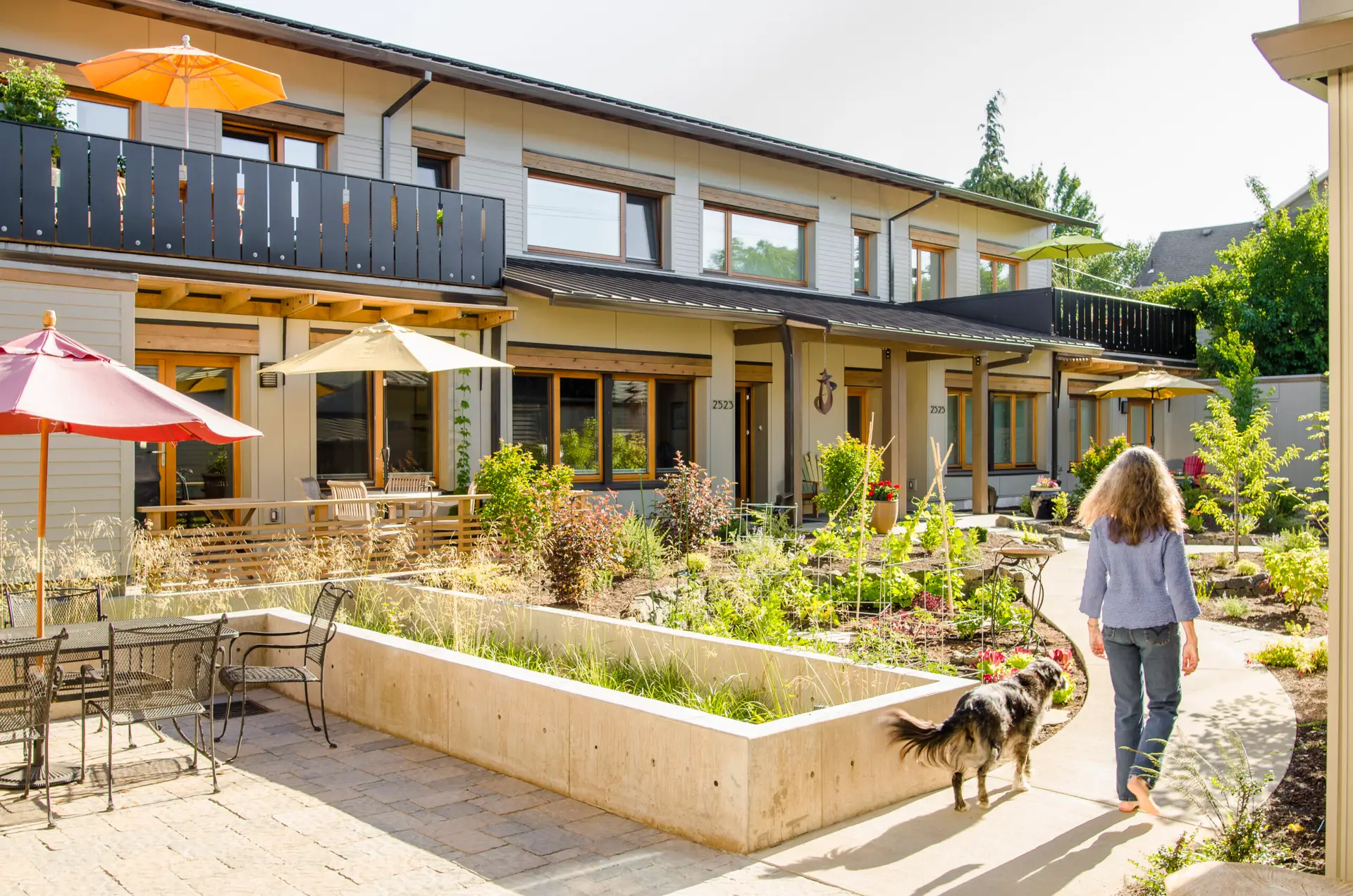 Ankeny Row exterior, showing an exterior courtyard with a person with dog walking along a curved pathway. The building is beyond the courtyard and features wood frame windows and a warm neutral stucco exterior