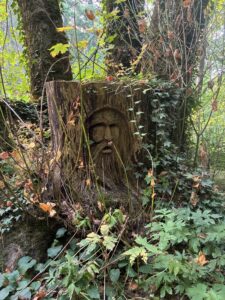 Carved tree stump